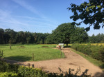 Paddock Paradise ruif 1